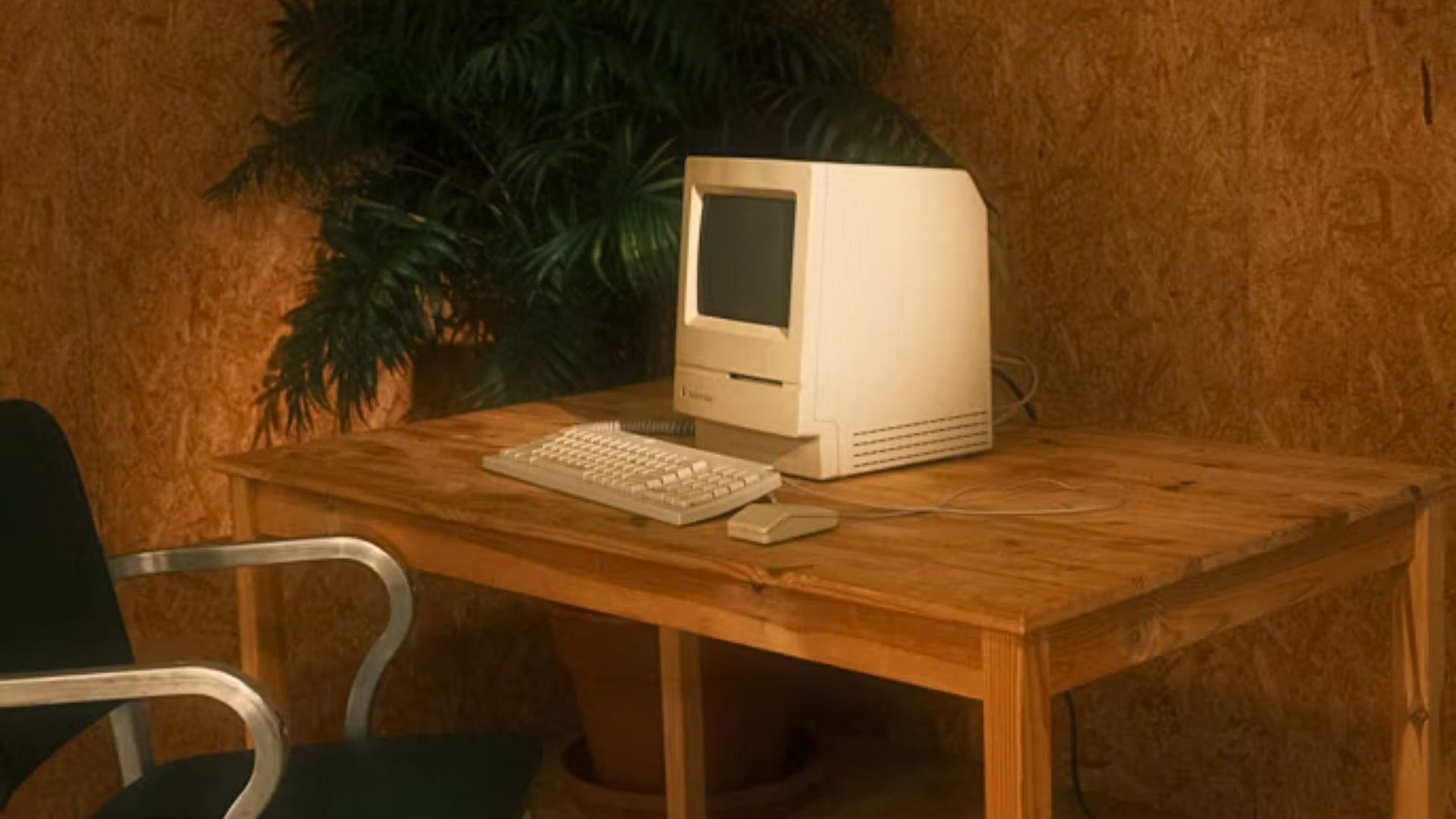 Representative image (Image via Unsplash/@Marissa Lewis)